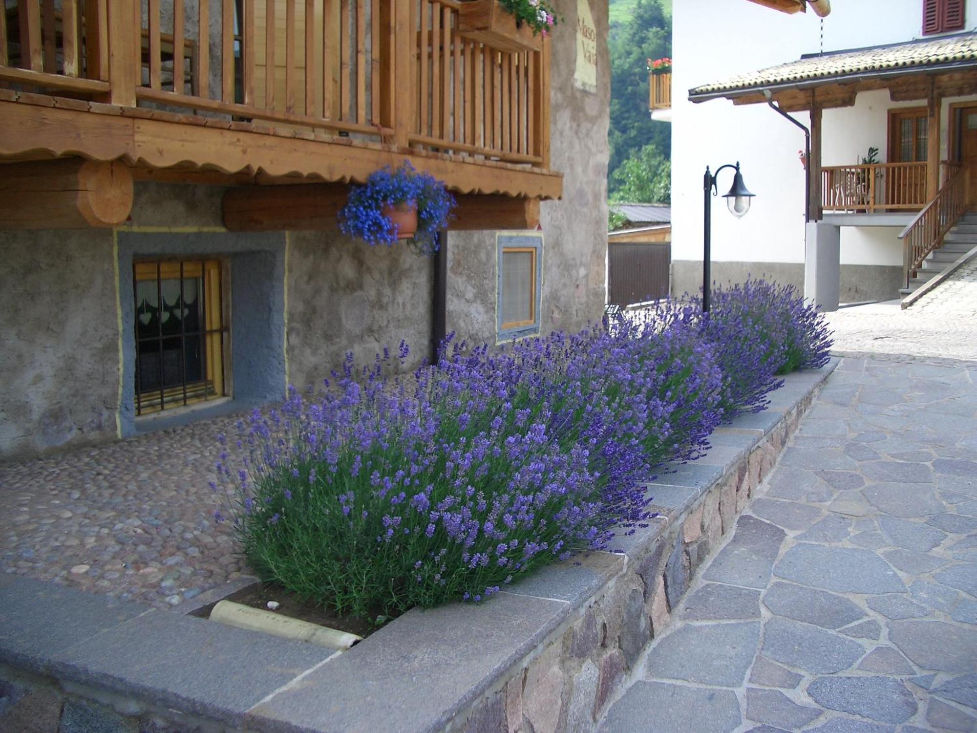Maso Vaia Bed & Breakfast Кавалезе Екстериор снимка